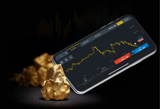 Discover the Colour Trading Best App for Your Investment Needs