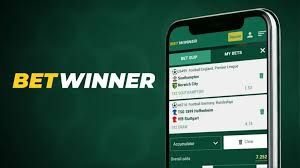 Understanding BetWinner Withdrawals A Comprehensive Guide -601355452 Understanding BetWinner Withdrawals A Comprehensive Guide -601355452